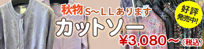 秋物カットソー、サイズS～LL税込3080円好評発売中